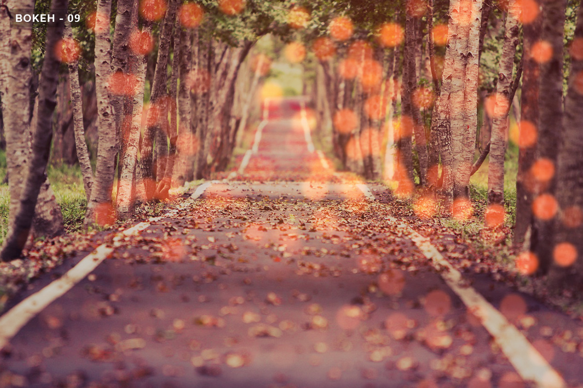 Bokeh - Photo Overlays, an Action Add-On by Nostal Studio (Photo 8 of 9)