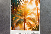 Luxury Tropical Nature, a Nature Photo by pictures for you (Thumbnail 8 of 19)
