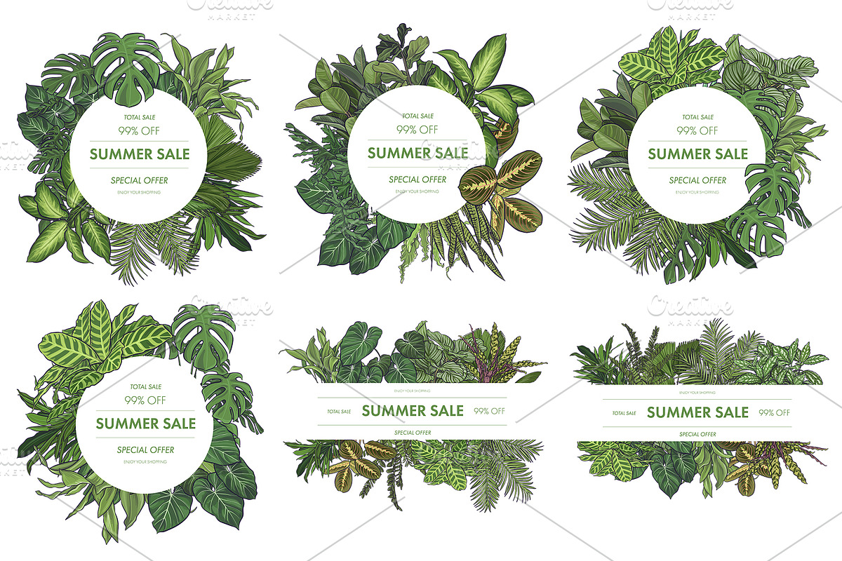 Indoor Plants VECTOR illustrations, a Seasonal Illustration by Natalka Dmitrova art (Photo 13 of 16)