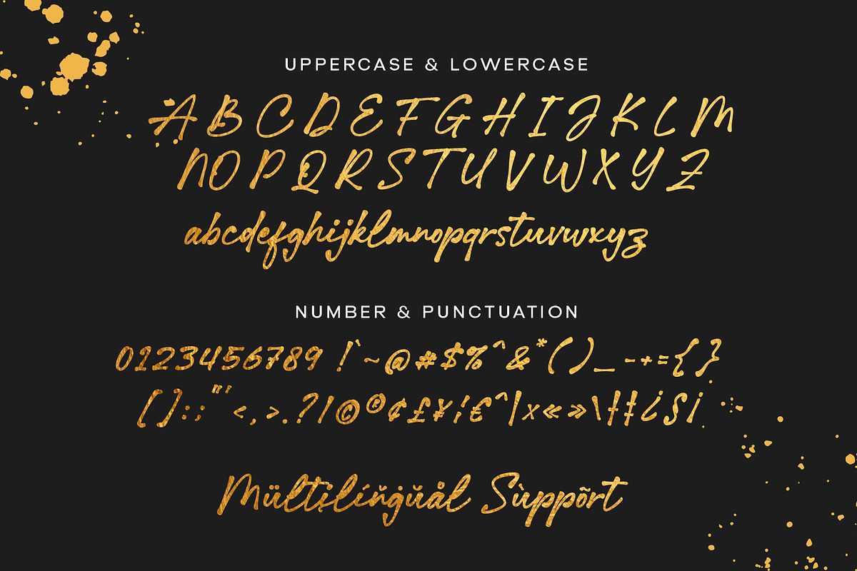 Hollinet Signature, a Handwritten Font by Siwox Studios (Photo 6 of 8)