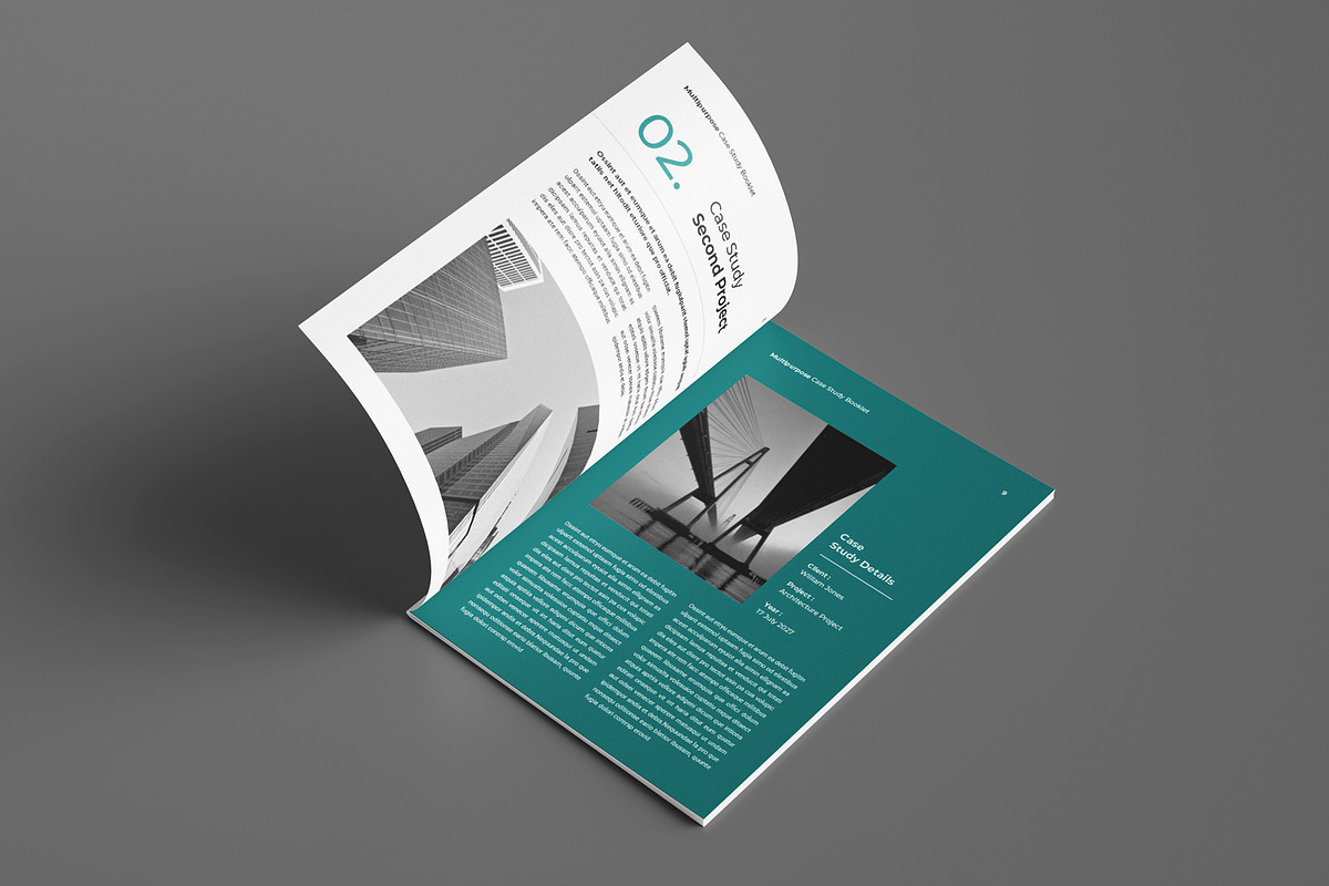 Case Study Booklet Template, a Brochure Template by Seeing-art (Photo 5 of 11)