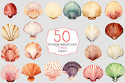Vintage watercolor shells clipart, a Decorative Illustration by Shahjahangdb1 (Thumbnail 1 of 2)