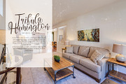Aisbum Slashey - Modern Script Font, a Script Font by StringLabs (Thumbnail 6 of 10)