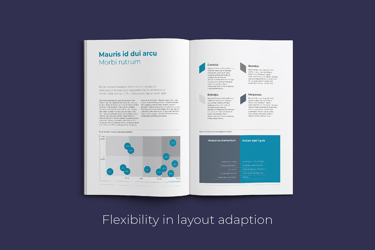 KEPLER Corporate Report Design, a Brochure Template by astrographic (Photo 3 of 12)