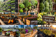 90 Community Garden Stock Photos, a Nature Photo by Incomelion (Thumbnail 11 of 17)