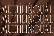 Charnoir - Modern Elegant Luxury, a Serif Font by Qweera Studio (Thumbnail 12 of 12)