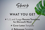 Modern Resume Template for Word, a Resume Template by SharpResumeFoundry (Thumbnail 6 of 6)