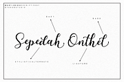 Martinesse - Beautiful Script Font, a Script Font by Sronstudio (Thumbnail 12 of 14)