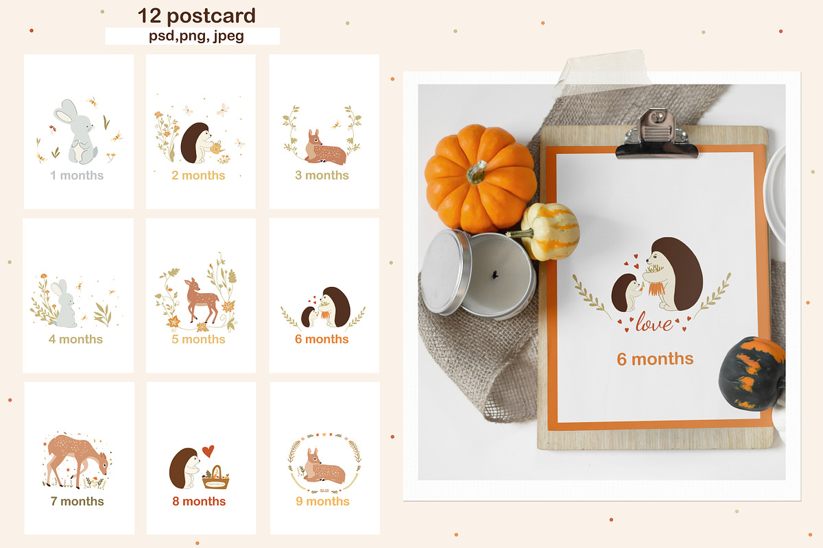 Sweet woodland animals and floral, an Animal Illustration by JT_Design_Art (Photo 6 of 12)