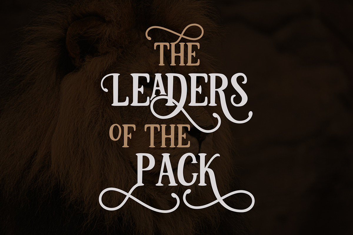 Pirates, a Script Font by Unicode Studio (Photo 6 of 6)