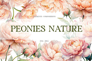 Peach Peony Watercolor Floral