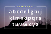 American Fox Font, a Sans Serif Font by yantodesign (Thumbnail 3 of 6)