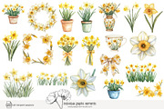 100 watercolour daffodil clip art, a Seasonal Illustration by Poppy Lane Studio (Thumbnail 7 of 12)
