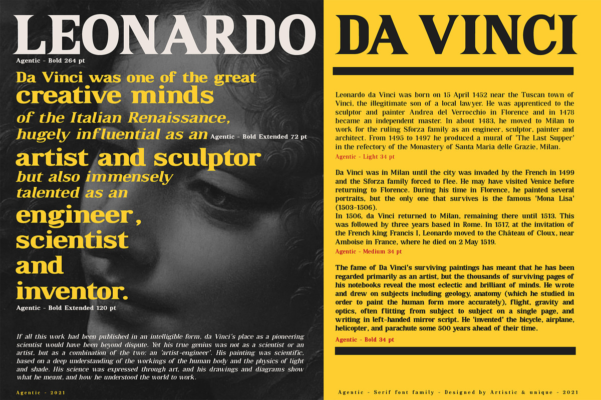 Agentic - Serif font family, a Serif Font by Artistic & Unique (Photo 7 of 13)