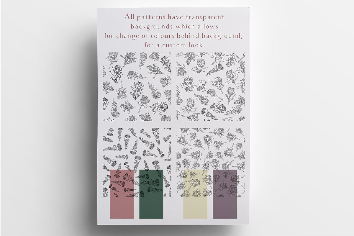 Line Art Protea Flower Elements, an Illustration by CL Creative Studio (Photo 7 of 12)