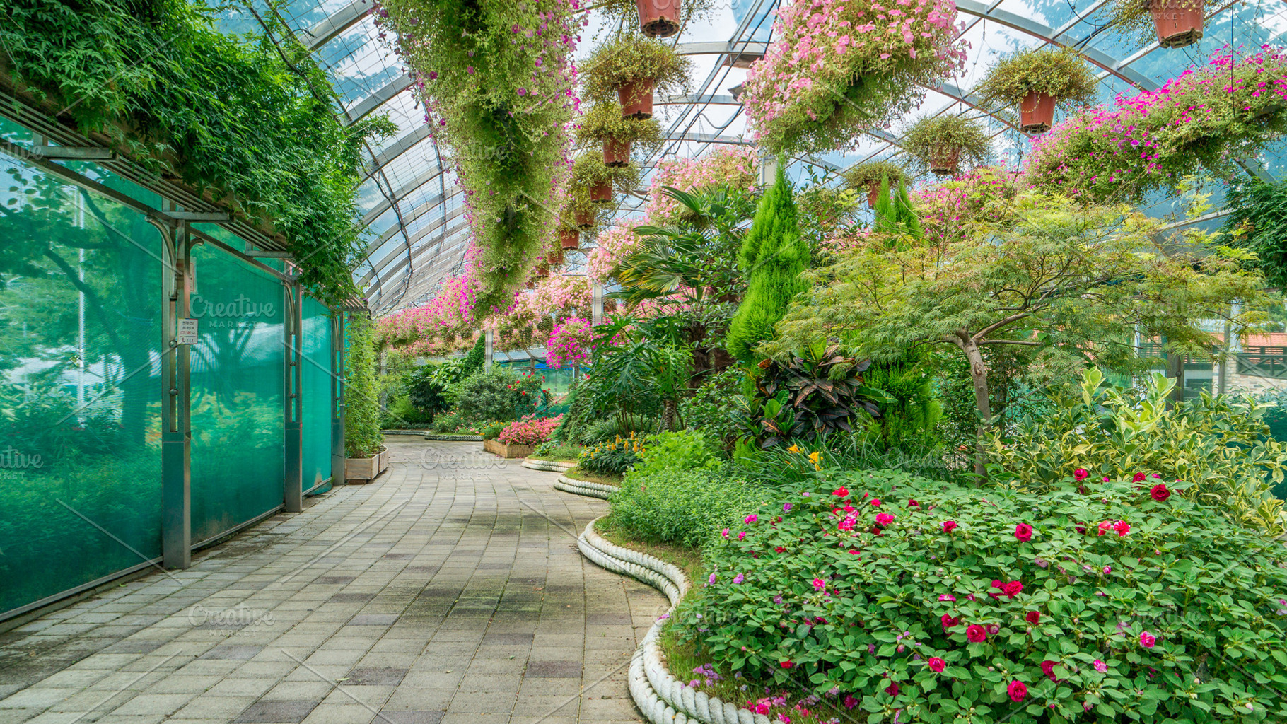 Big indoor green garden or greenhouse with many plants and flowers and walking, a Nature Photo by iuliia_n