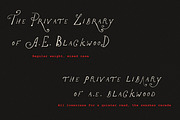 The Rose Atelier// Hand drawn Font, a Handwritten Font by PeachCreme (Thumbnail 15 of 15)