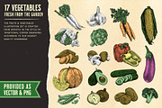 Fruits and Vegetables Illustrations, an Illustration by Heritage Type Co. (Thumbnail 2 of 8)