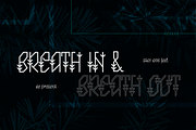Laima Ethnic Font, a Symbol Font by Wild Ones (Thumbnail 5 of 9)