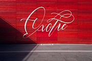 Halosense Script, a Script Font by Adam Fathony (Thumbnail 7 of 12)