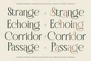 Badgeils Modern Alternate Serif, a Serif Font by timelesstype.co (Thumbnail 10 of 20)