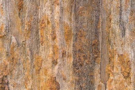 texture detailed structure of stone for background and design, an Abstract Photo by Casanowe-studio