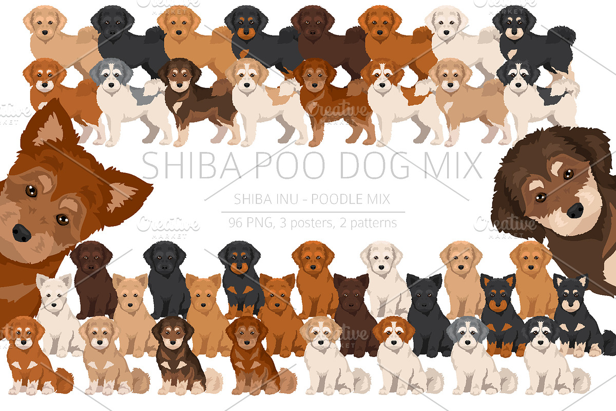 Shiba Poo (Shiba Inu Poodle mix), an Animal Illustration by pet design shop (Photo 1 of 5)