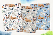 Northern Sea Watercolor Set, an Animal Illustration by Natalia Fedorova (Thumbnail 12 of 16)