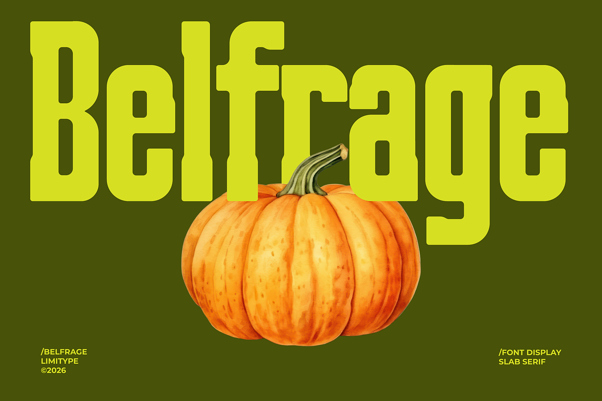 Belfrage - Slab Serif Font, a Slab Serif Font by limitype (Photo 1 of 10)