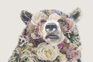 Double Exposure 'Bear and Roses'