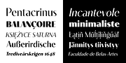 Contralto, a Sans Serif Font by Synthview Type Design (Thumbnail 2 of 10)