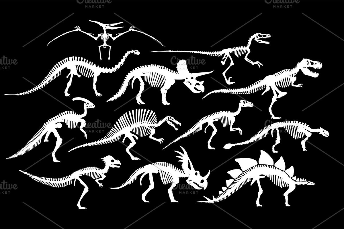 Dinosaurs Skeletons Patterns and Set, a Pattern Graphic by Andres M Rodriguez (Photo 2 of 6)