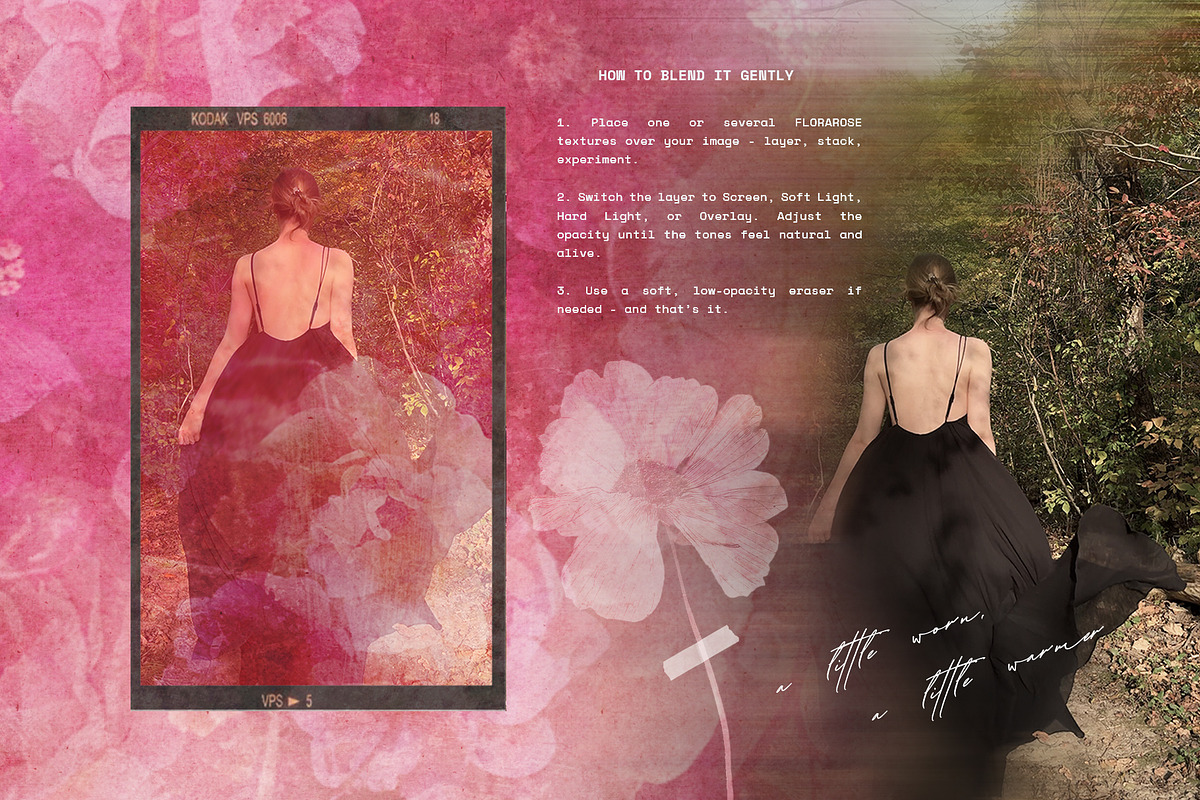 FloraRose: Botanical Backgrounds, a Background Graphic by alonahaidash (Photo 10 of 12)