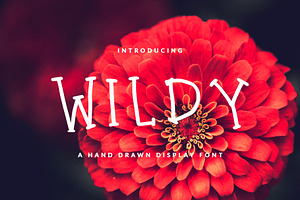WILDY FONT FEMININE & FUN
