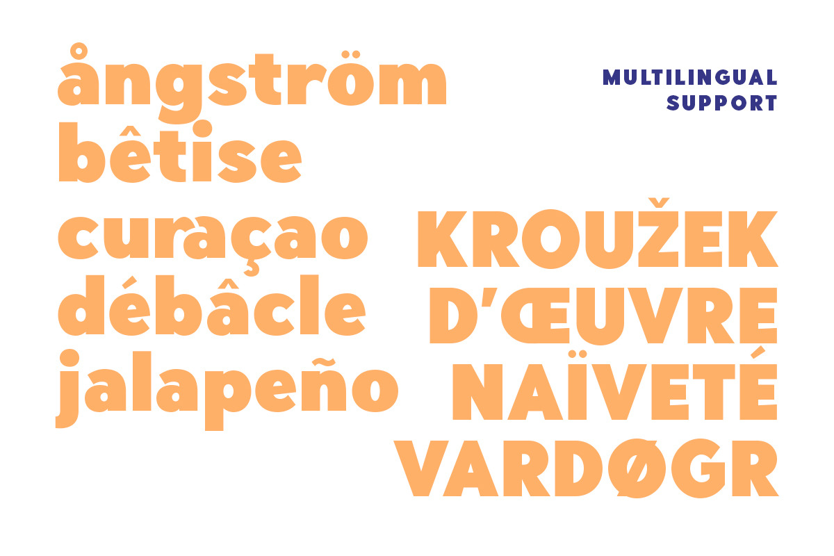 Hillray - Stylish Bold Sans preview 8