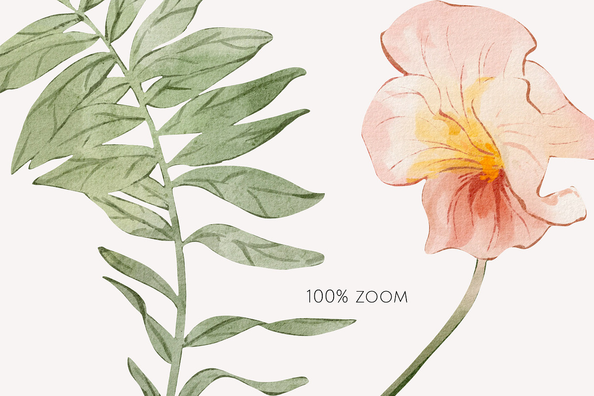 FIELD watercolor wildflowers, a Decorative Illustration by Yuliia Lashevska (Photo 7 of 13)