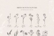 Birth Month Flowers, Botanicals, an Object Graphic by Olya Creative (Thumbnail 3 of 8)