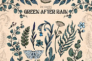 Green After Rain Botanical Set, an Object Illustration by Ink Stories (Thumbnail 2 of 13)