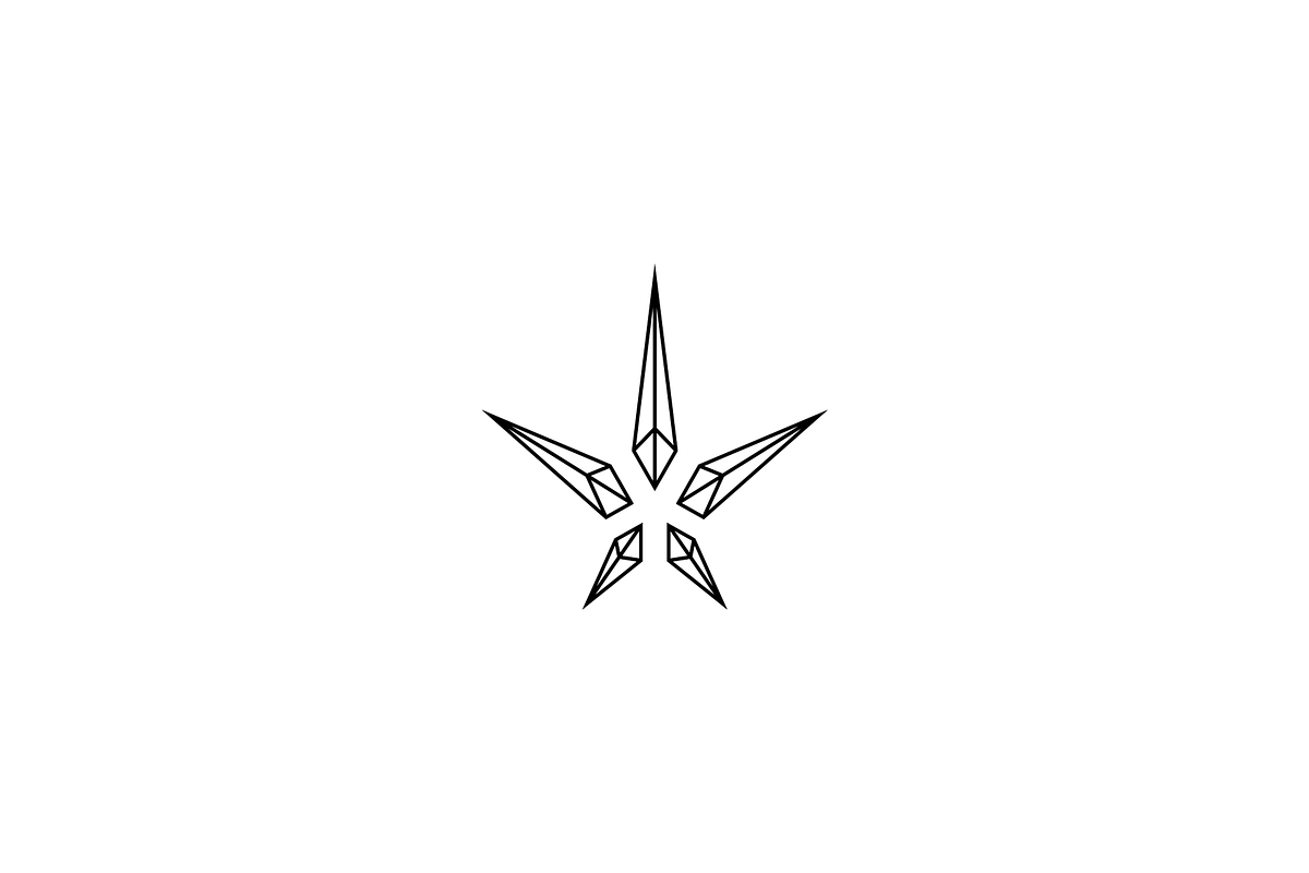 Minimalist Crystal Star Logo, a Branding & Logo Template by Luxury Logos (Photo 3 of 4)