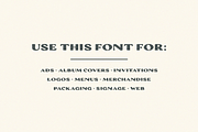 Oasis, a Slab Serif Font by Bruised Goods (Thumbnail 3 of 5)