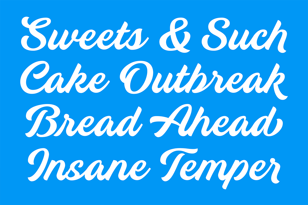 Breakout Bold Script Font, a Script Font by Letteralle Studios (Photo 5 of 10)