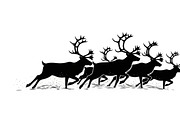 Winter Snow Silhouettes feature, an Illustration by Amazin_art (Thumbnail 2 of 42)
