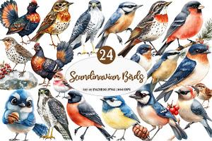 Scandinavian Birds Clipart, an Illustration by Watercolor design