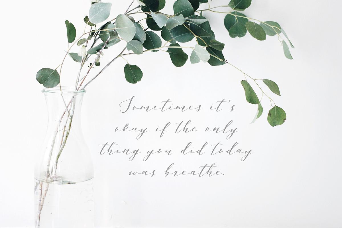 Rather Pale Script, Logos & Clipart, a Script Font by eclosque (Photo 10 of 14)