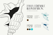 Ocean Shells Illustration, an Object Illustration by KetteCreate (Thumbnail 14 of 17)