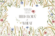 Watercolor Wheat & Field Flora, a Decorative Illustration by MayaNavits (Thumbnail 1 of 13)