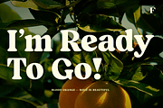 Blood Orange Vintage Serif, a Serif Font by Fenotype (Thumbnail 15 of 16)