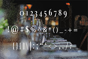 Wedding Display Font, a Font by biibee (Thumbnail 5 of 8)