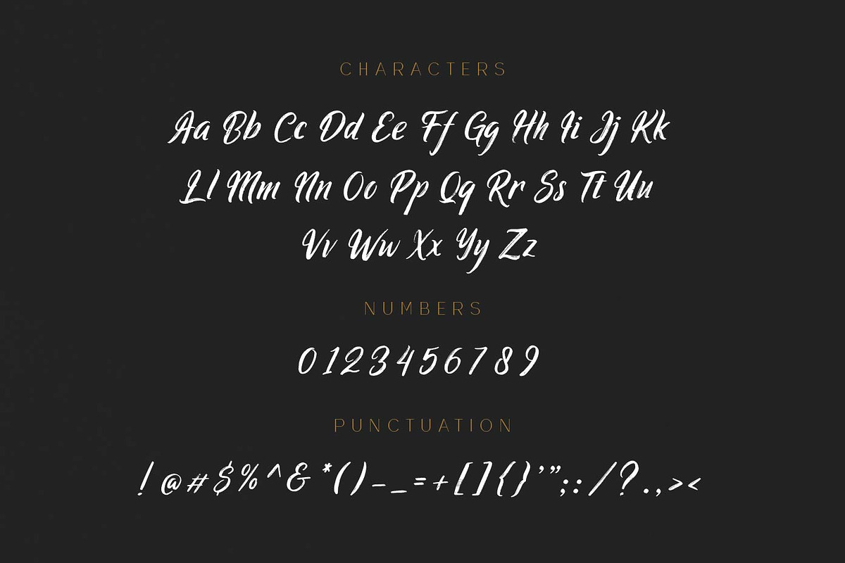 Ringtrack - Rough Brush Fonts, a Script Font by Patria Ari (P4tcreativa) (Photo 8 of 10)