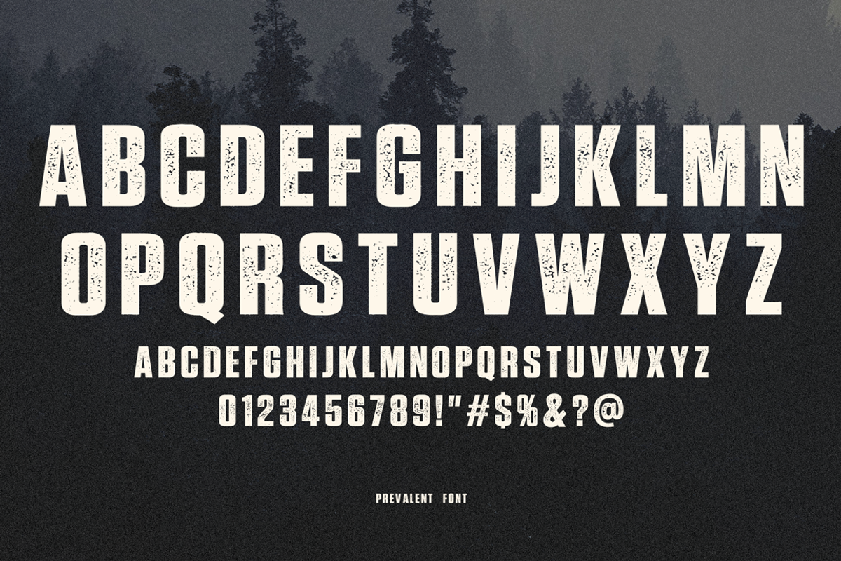 Prevalent - Textured Sans Serif, a Font by The Branded Quotes (Photo 3 of 4)